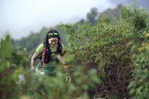 BIB: 
                            <button type="button" onclick="openModal(24760728)" class="btn btn-primary btn-sm float-right btn-popup" data-toggle="modal" data-target=".modal-high-quality">
                        <i class="fas fa-shopping-cart"></i> Add to Cart
                    </button>
                                            <button type="button" onclick="isThisMe(24760728, true)" class="btn btn-success btn-sm float-right btn-popup btn-isme hidden" data-toggle="tooltip" data-placement="bottom" title="นี่คือรูปของคุณใช่ไหม คลิกที่นี่เพื่อเอาเข้าอัลบั้ม">
                        <i class="fas fa-plus"></i> Add to album
                    </button>
                    <button type="button" onclick="isThisMe(24760728, false)" class="btn btn-warning btn-sm float-right btn-popup btn-isnotme hidden">
                        <i class="fas fa-ban"></i> Remove from album
                    </button>